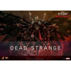 Hot Toys Doctor Strange In The Multiverse Of Madness Movie Masterpiece Figuur 1/6 Dead Strange 31cm -Goedkope Action figures winkel hot toys hot911214 doctor strange in the multiverse of madness movie m 1