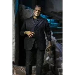 NECA Universal Monsters Actiefiguur Ultimate Frankenstein's Monster (kleur) 18 Cm -Goedkope Action figures winkel neca neca04804 universal monsters actiefiguur ultimate frankenstein s 1 3