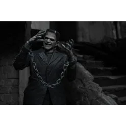 NECA Universal Monsters Actiefiguur Ultimate Frankenstein's Monster (Zwart & Wit) 18 Cm -Goedkope Action figures winkel neca neca04805 universal monsters actiefiguur ultimate frankenstein s 1 1